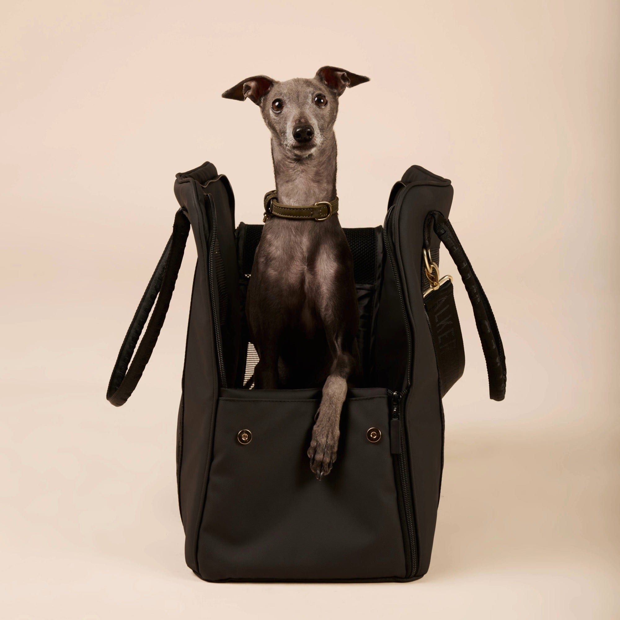 Transporttasche für Hunde und Katzen Faltbar Flugtauglich