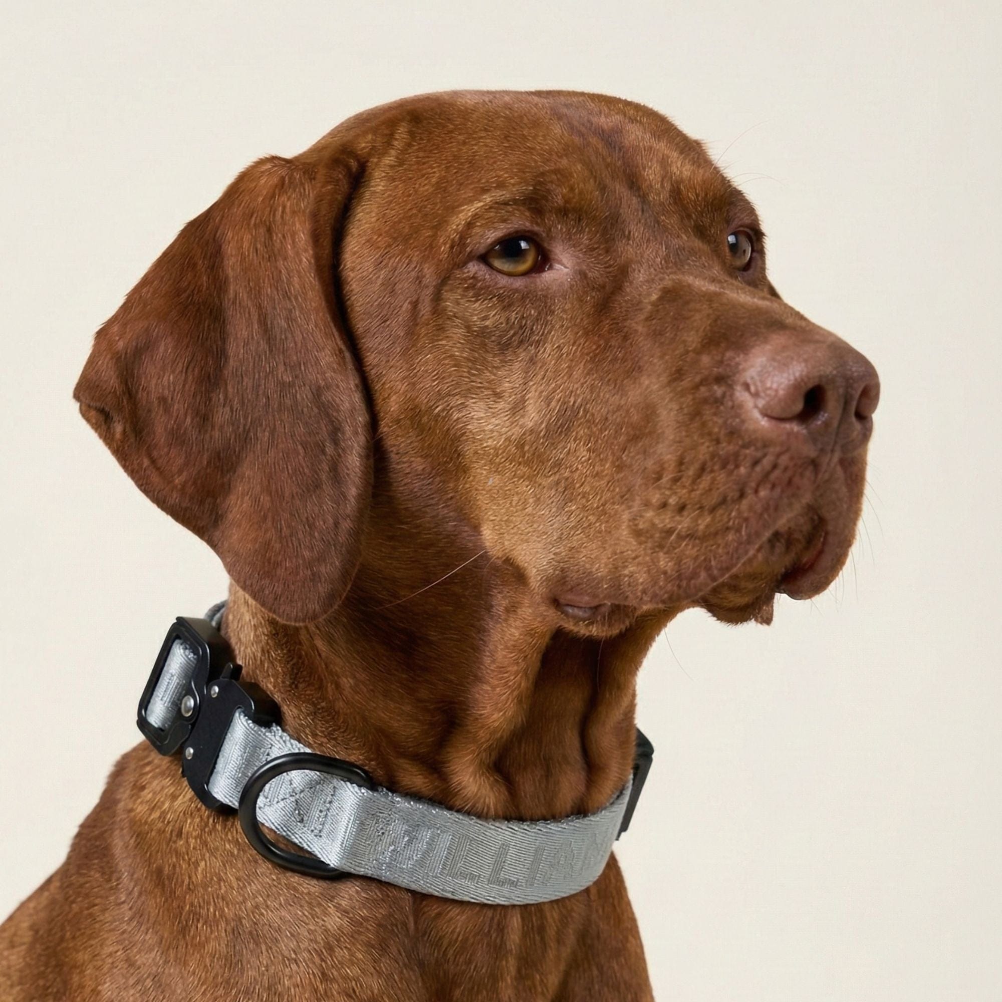 Hundegeschirr Reflektierend Hochsichtbar Verstellbar
