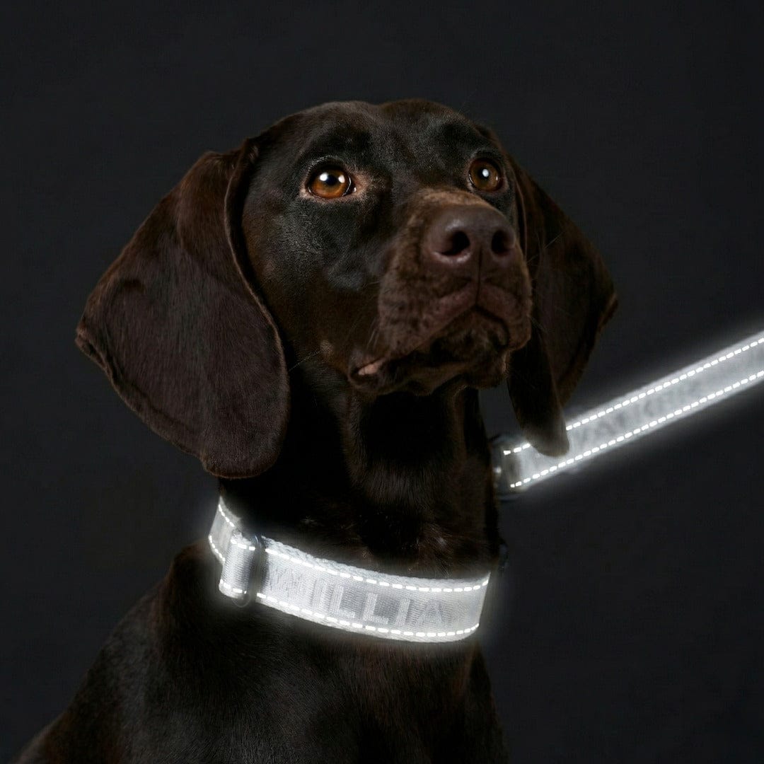Hundegeschirr Reflektierend Hochsichtbar Verstellbar
