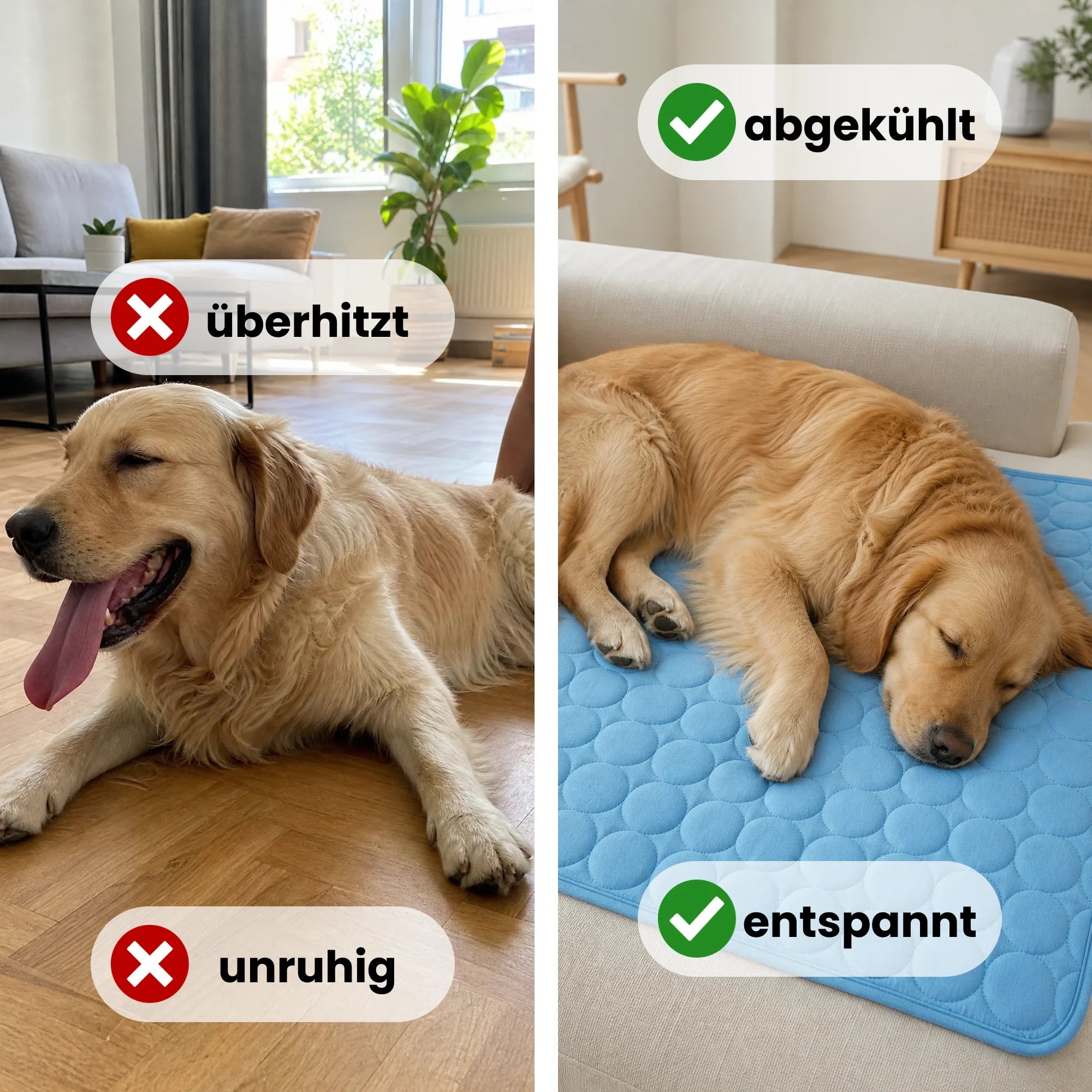 FellStern Kühlmatte